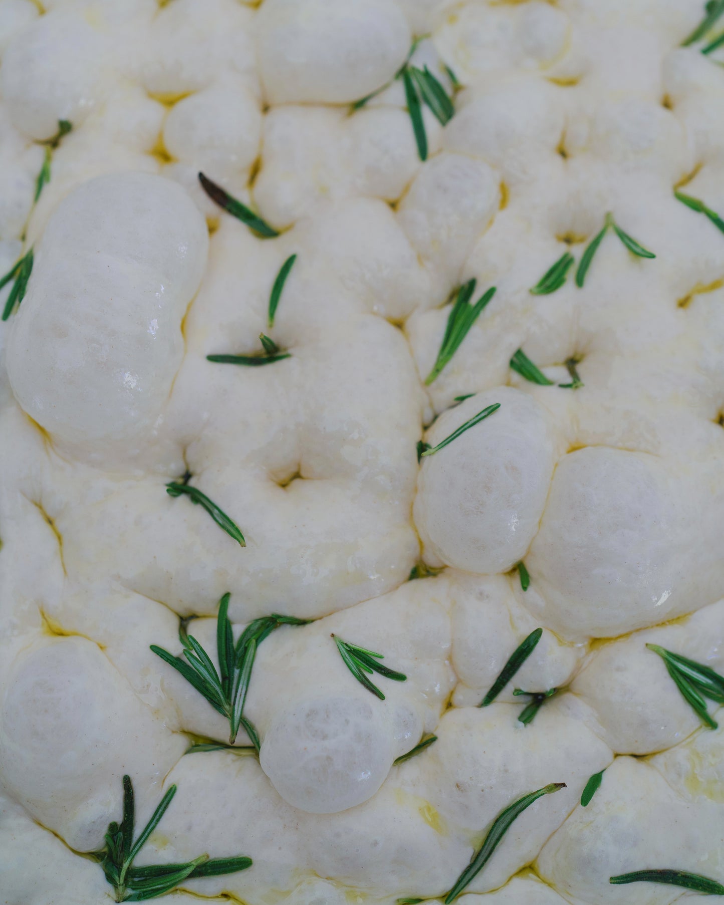 Focaccia ready to be baked, close up